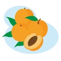 Fruit peaches orange illustration Royalty Free Stock Photo